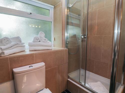 a bathroom with a shower and a toilet and towels at Flat 5 Fairwinds in Poole