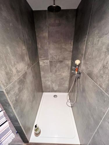 La salle de bains est pourvue d'une douche avec un mur gris. dans l'établissement Appartement dans un corps de ferme alsacien, à Mittelhausbergen
