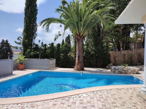 - une piscine avec un palmier dans la cour dans l'établissement Studio im Grünen mit Pool, à Biot