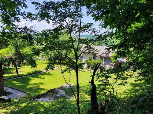a tree in the middle of a yard with a house at Mjesto za odmor Golden Hill in Šandrovac