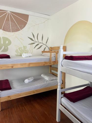 um quarto de beliche com 2 beliches em Hostel Jardim de Lotus em Blumenau