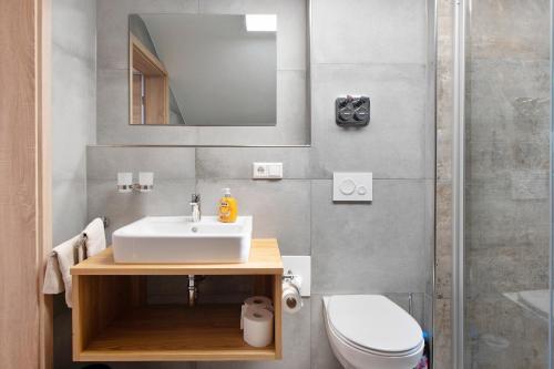 a bathroom with a sink and a toilet and a mirror at Kaiserchalet in Höchenschwand