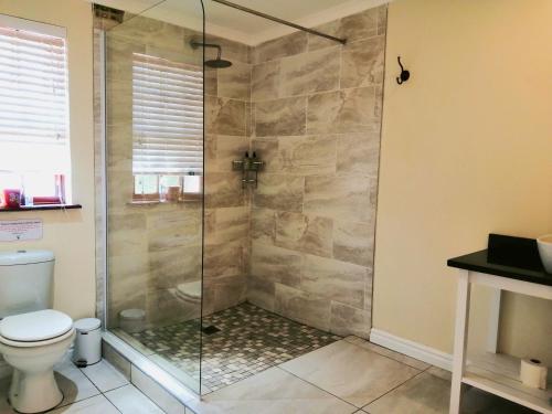 a bathroom with a glass shower with a toilet at Adrenalin Addo Manor House in Addo