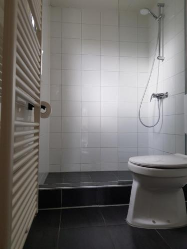 a bathroom with a toilet and a shower at De Bijsselse Enk, Keizerskroon in Nunspeet