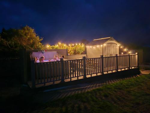 a group of children playing in a garden at night at Four Winds B&B StDavids in St. Davids