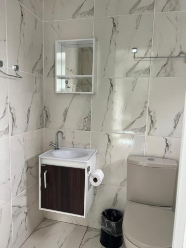 een badkamer met een toilet, een wastafel en een spiegel bij Hostel Jardim de Lotus in Blumenau
