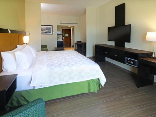 a hotel room with a bed and a flat screen tv at Holiday Inn Tampico-Altamira by IHG in Tampico