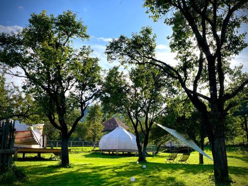une grande tente blanche dans un champ arboré dans l'établissement Flore's Garden Glamping, à Bran