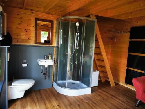 a bathroom with a shower and a toilet at Pension Am Waldrand in Mosbach