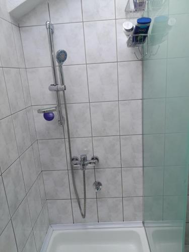 eine Dusche mit Duschkopf im Bad in der Unterkunft Fine Rest Brcko 2 in Brčko