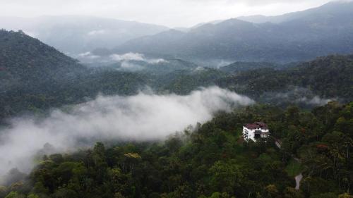 une maison au milieu d'une forêt d'arbres dans l'établissement Viceroy Luxury Mountain Resort and Spa, à Munnar