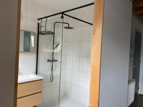 a bathroom with a shower with a glass door at Aan de Dijk in Dordrecht