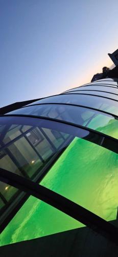a view from the hood of a car with green water at Dobre smaki at Wczasowa8 sea resort in Sarbinowo
