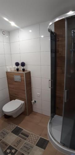 a bathroom with a shower with a toilet and a sink at Apartamenty u Rudej in Olszanica