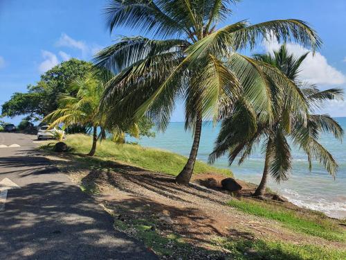 two palm trees on a beach next to the ocean at Bungalow vacances in Sainte-Rose