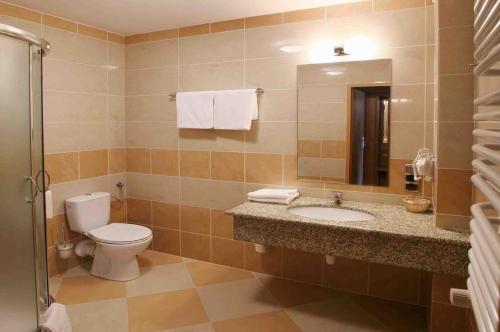 a bathroom with a toilet and a sink and a mirror at Hotel Maggi in Rogoźno