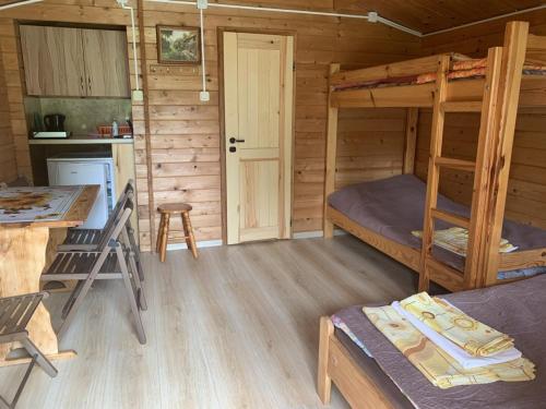 a cabin with a bunk bed and a kitchen at Zielony Zakątek domki i pokoje 661-038-537 in Polańczyk