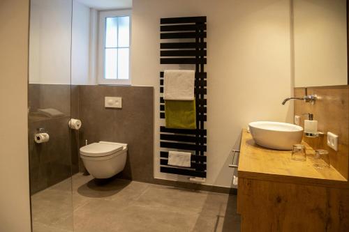 a bathroom with a toilet and a sink at Landhotel Halbfas-Alterauge in Drolshagen