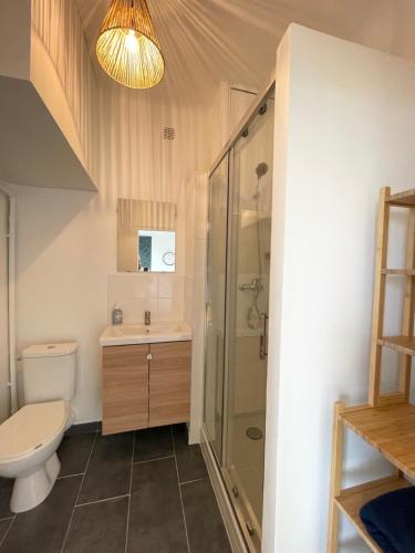 La salle de bains est pourvue d'un lavabo et d'une douche. dans l'établissement Le Panoramique - Centre-ville, à Melun