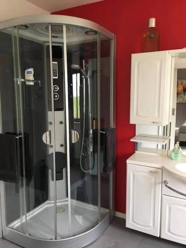 a glass shower in a kitchen with a red wall at Le calme de la prairie de liège in Liège