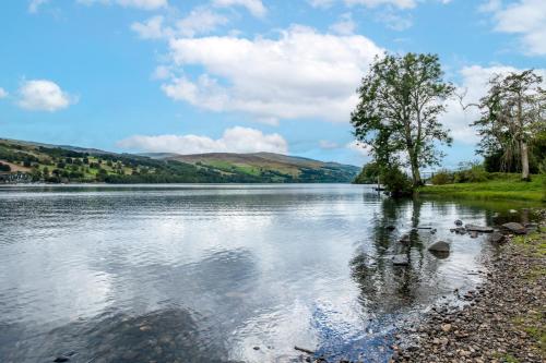 a body of water with a tree in the middle at The Kenmore Club in Kenmore