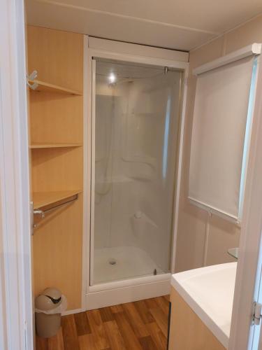 BoofzheimにあるLa pépite Rose d'Europaparkの浴室のガラス扉付きシャワー