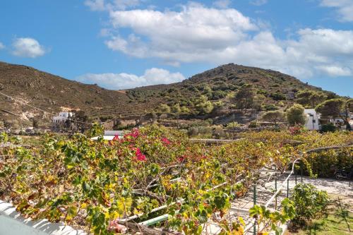 a view of a mountain with flowers in the foreground at Beachfront Lampis Dolphin 3 in Skala