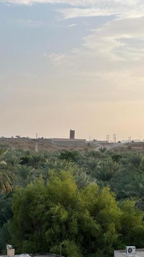 a view of a field with bushes and trees at Alqalah Inn in Al Ḩamrāʼ