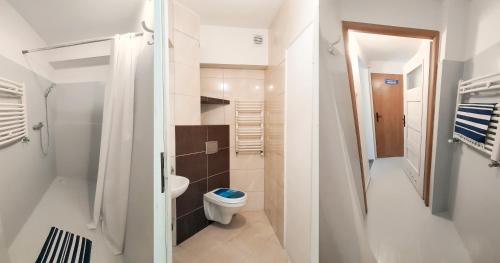 un piccolo bagno con servizi igienici e lavandino di Klimatyczny Apartament w Centrum a Koszalin