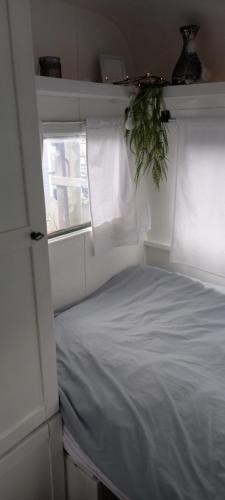 a bedroom with a white bed with a window at Hippy caravan in Nigtevecht