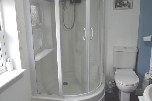 a bathroom with a shower and a toilet at Dee View in Holywell