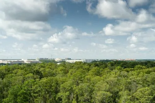 JW Marriott Orlando Bonnet Creek Resort & Spa photo 4