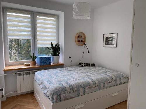 sypialnia z łóżkiem i oknem w obiekcie Pajczur home - 40m2 w Warszawie