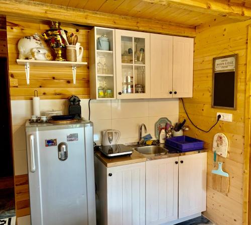 a small kitchen with a refrigerator and a sink at Brvnare Mrkic in Kremna