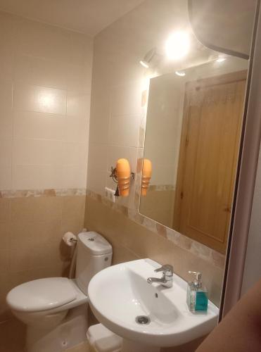 ein Badezimmer mit einem WC, einem Waschbecken und einem Spiegel in der Unterkunft Apartamento La Reina Home in Córdoba