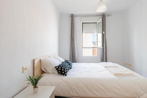 Apartamento Velero