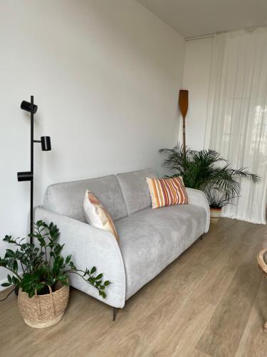 a gray couch in a living room with two plants at Cabine Congé nieuw appartement dichtbij zee in Ostend