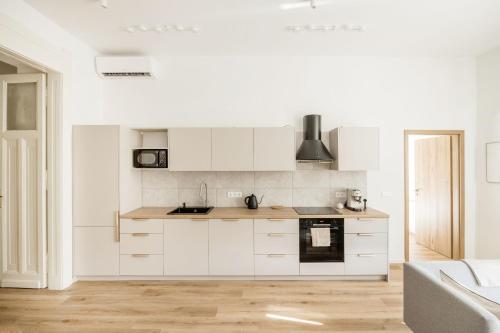Kuchyň nebo kuchyňský kout v ubytování Natural Harmony Apartment