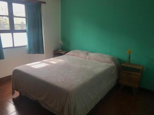 1 dormitorio con cama y pared verde en Casanicca Habitaciones privadas en Casa Compartida en San Martín de los Andes