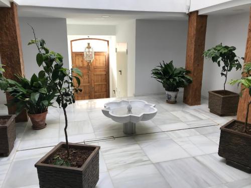 um quarto com vasos de plantas e uma mesa no chão em WADI DAR AL-FARAH, ( LA CASA DE LA ALEGRIA DE GUADIX) em Guadix