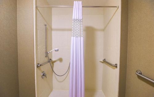 eine Dusche mit Duschvorhang im Bad in der Unterkunft Hampton Inn & Suites Flowery Branch in Flowery Branch