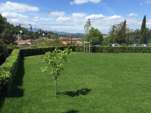 a small tree in the middle of a lawn at Casa Religiosa di Ospitalità San Ponziano in Spoleto