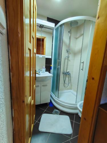 a bathroom with a shower and a sink at Vila Maja in Rudno