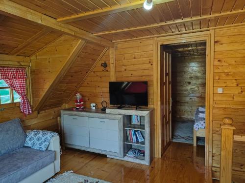 Cabaña con sala de estar con sofá y TV. en Vila Maja, en Rudno