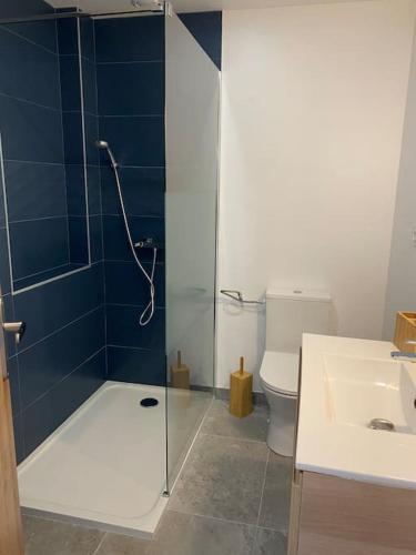 La salle de bains est pourvue d'une douche, de toilettes et d'un lavabo. dans l'établissement Maison mitoyenne / hyper centre, à Lacroix-Saint-Ouen