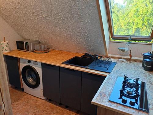a kitchen with a sink and a washing machine at Świerkowe Siedlisko pokoje gościnne in Węgorzewo