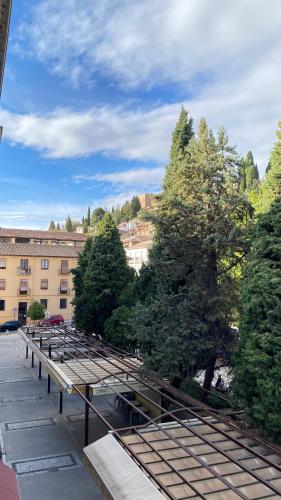 Campo del príncipe