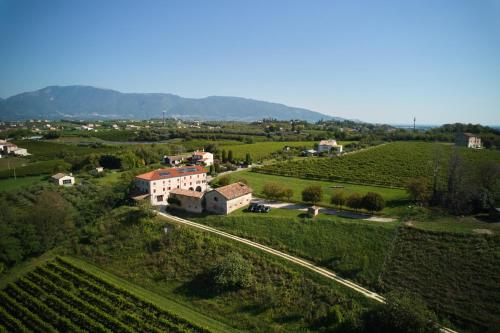 uma vista aérea de uma pequena aldeia numa vinha em Al Vecchio Convento-Tenuta Malvolti em San Fior di Sopra