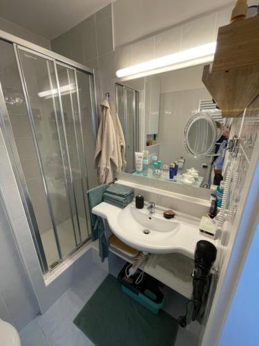 a bathroom with a sink and a shower at DE LUXE Apartment, WIFI, TV 65" in Prague
