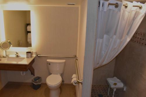 uma casa de banho com um WC, um lavatório e um chuveiro em Doubletree By Hilton Helena Downtown em Helena